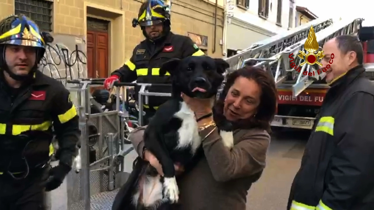 Il cane salvato dai vigili del fuoco e riconsegnato alla sua padrona