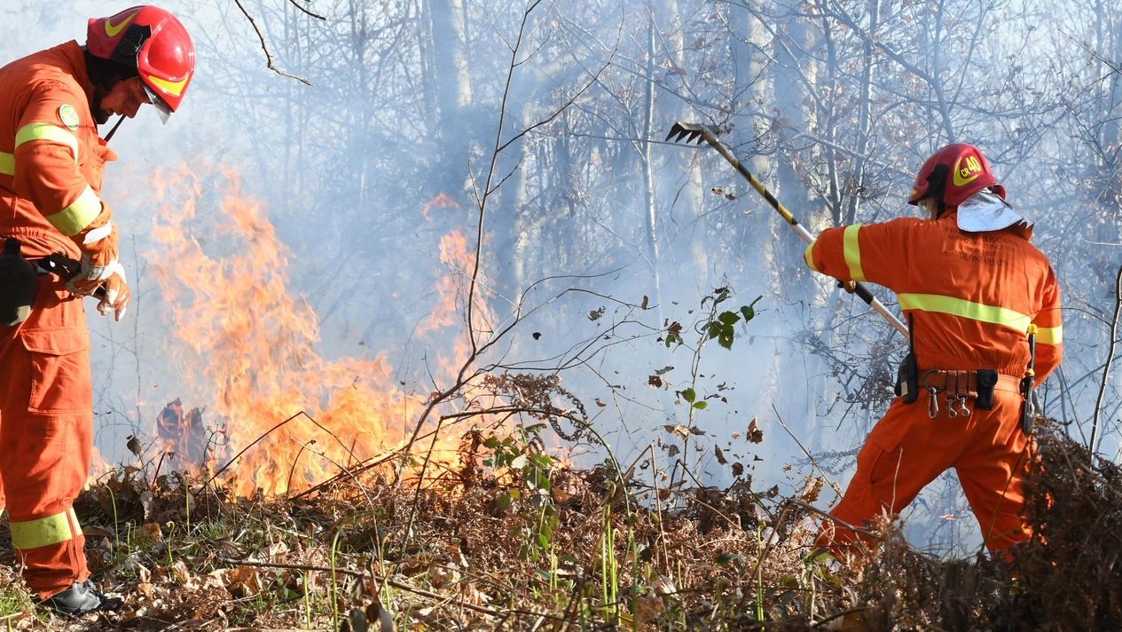 I vigili del fuoco impegnati a domare le fiamme nei boschi che circondano  il paese di Bergiola