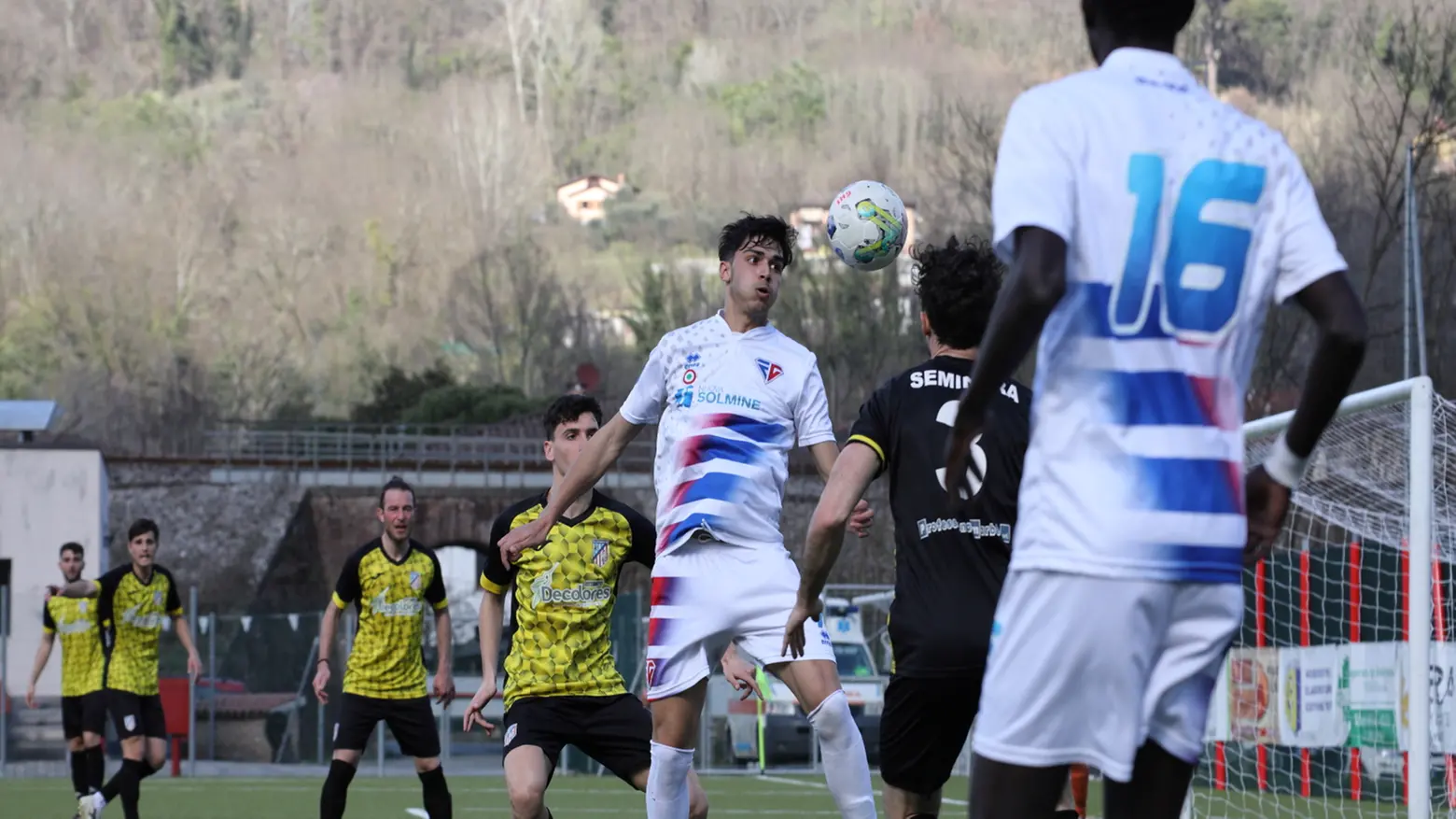Pino autore di una rete Pino autore di una rete