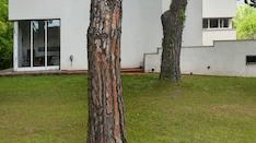 I ’gioielli’ nascosti. Le ville storiche  inserite nel gotha  dell’architettura