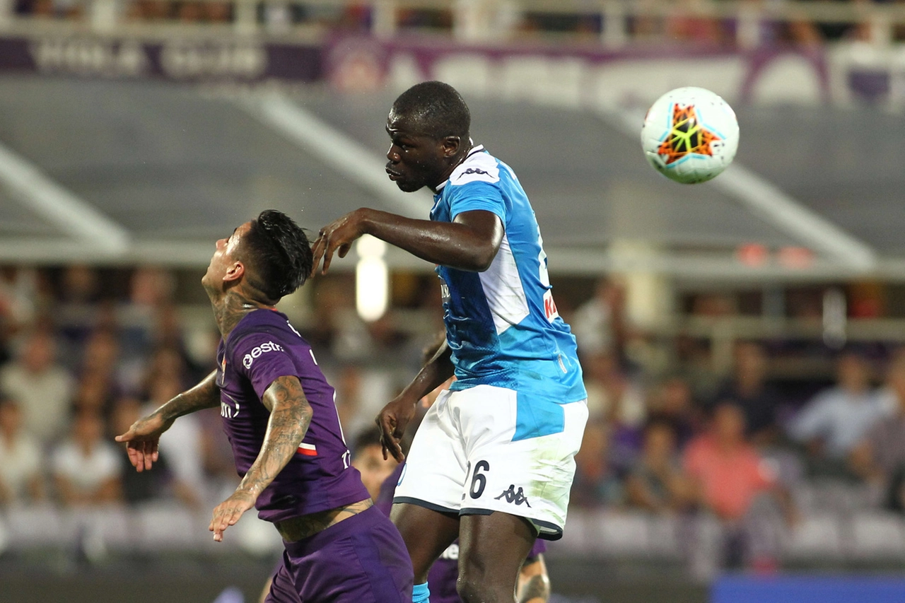 Fiorentina-Napoli (Germogli)