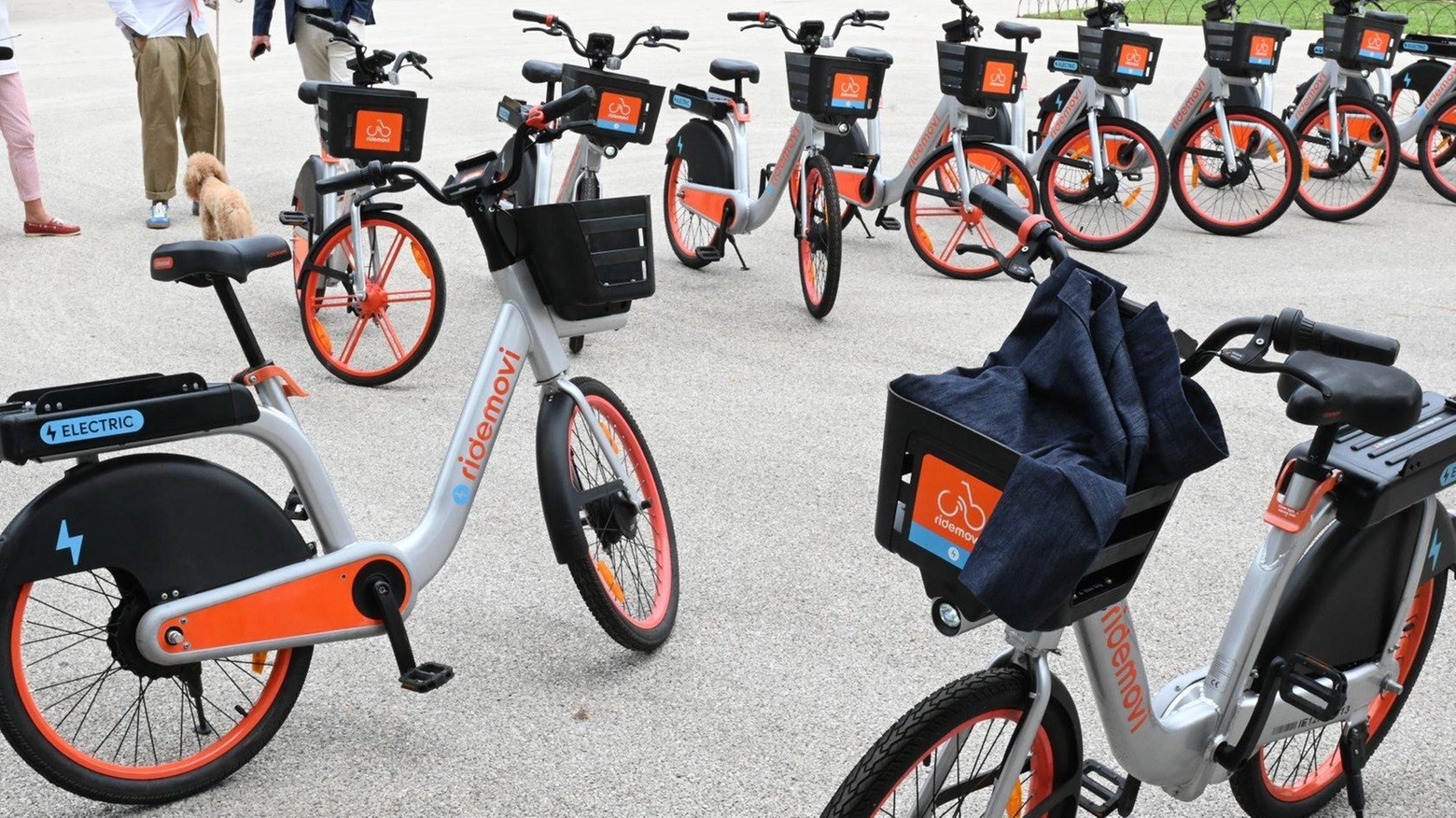 

In arrivo 500 biciclette a Lucca: bike-sharing con prezzi competitivi