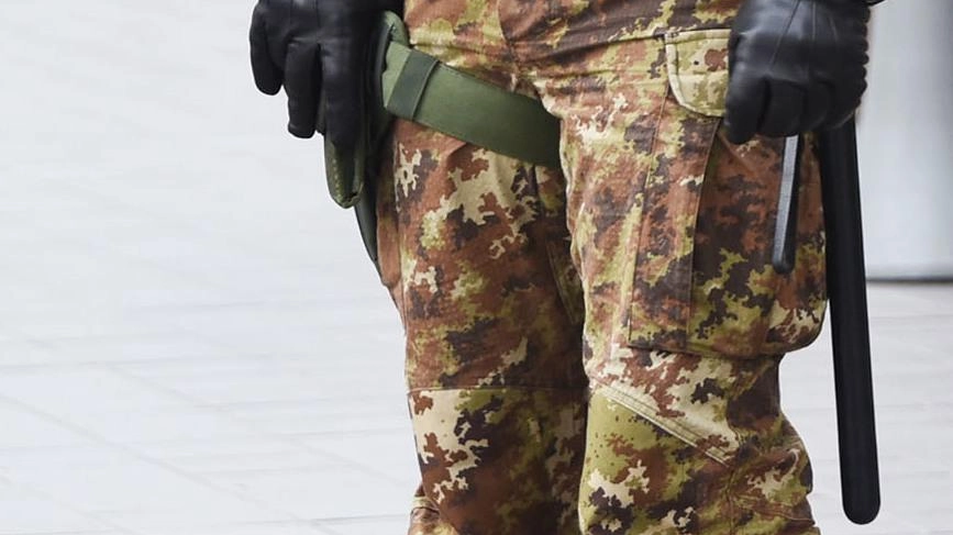Comitato per le Cerbaie: "Qui serve l’esercito" Comitato per le Cerbaie: "Qui serve l’esercito"