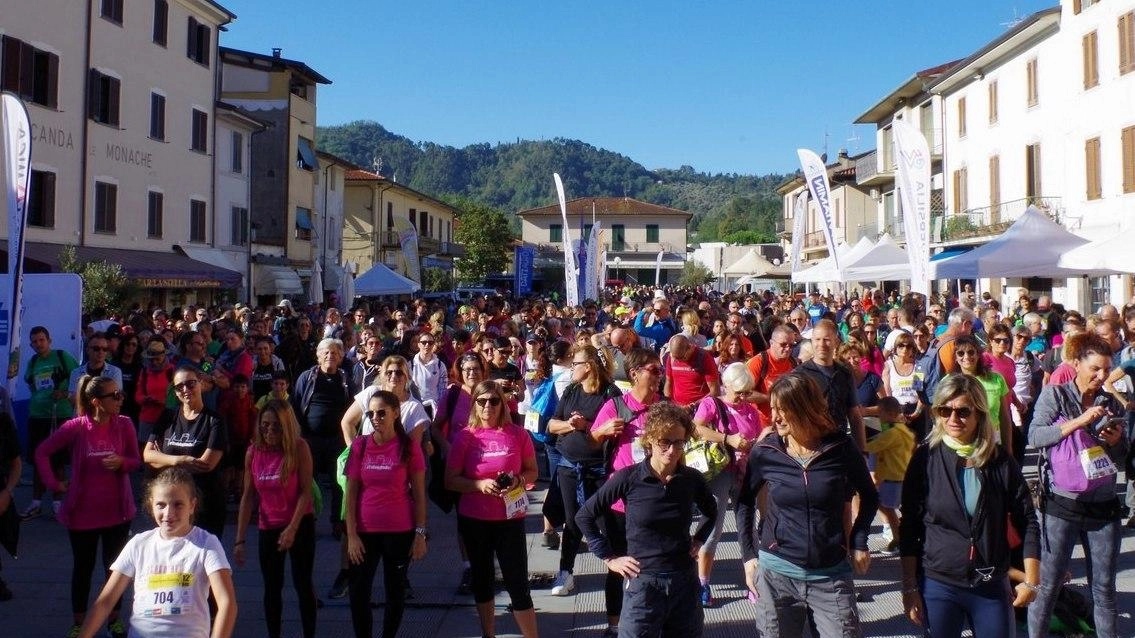 La carica dei tremila. Arriva FrancigenAmica La carica dei tremila. Arriva FrancigenAmica
