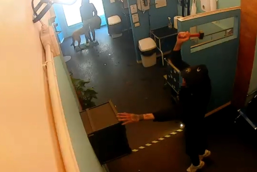 Il ladro in azione