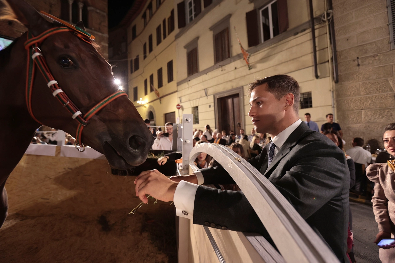 immagine di sfondo 19