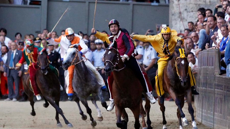 "Gli zoccoli sul piatto": Siena, il Palio e un mistero da svelare
