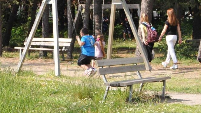 "Nuovo parco a Massa con meno alberi e più cemento"
"Nuovo parco a Massa con meno alberi e più cemento"