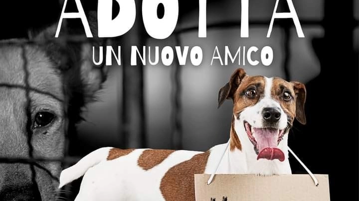 Il manifesto social dell'iniziativa pubblicato dal Comune Il manifesto social dell'iniziativa pubblicato dal Comune