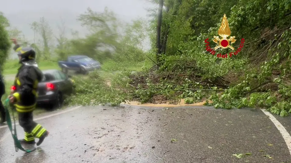 Danni del maltempo in Alto Mugello (foto Vigili del Fuoco)