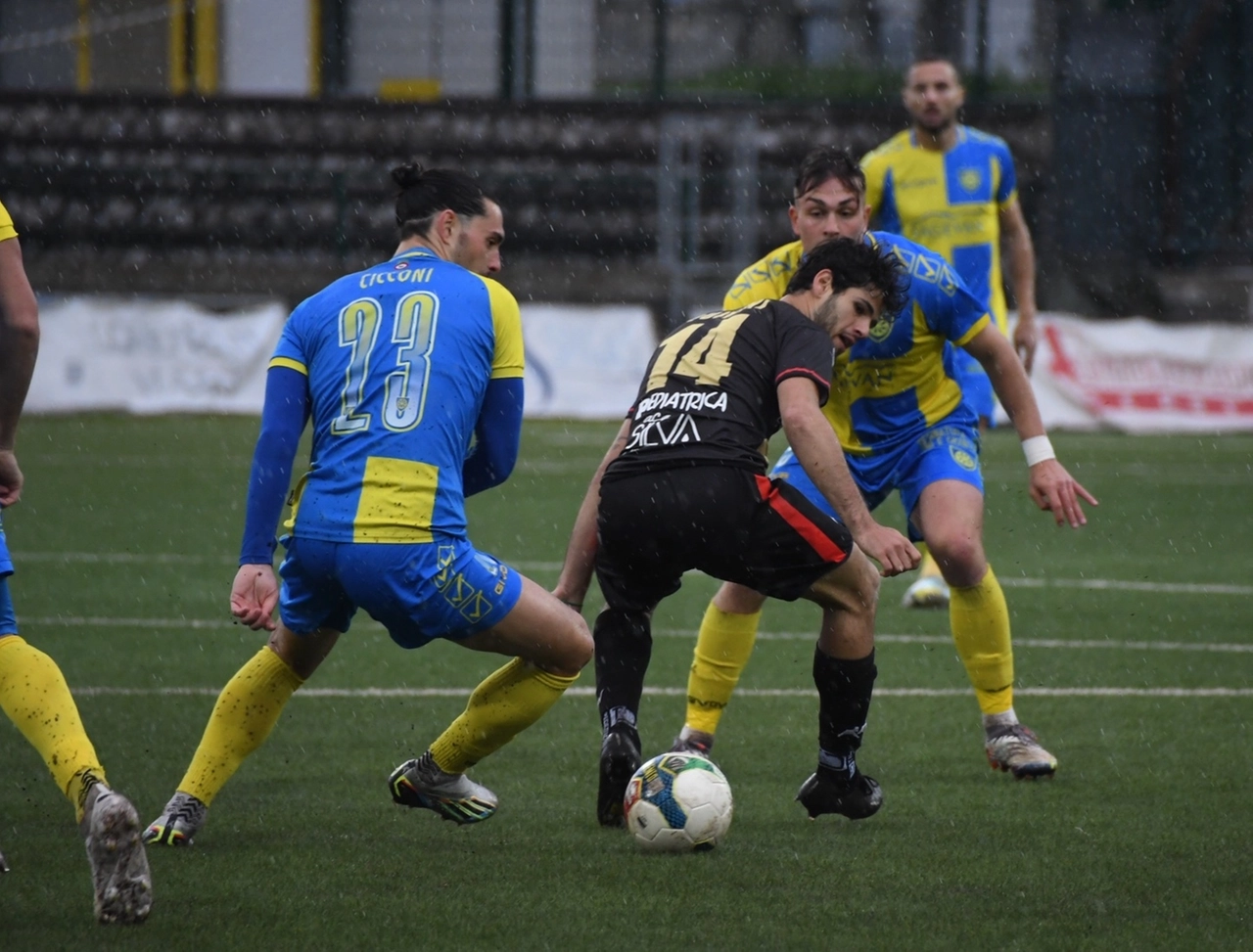 immagine di sfondo 23