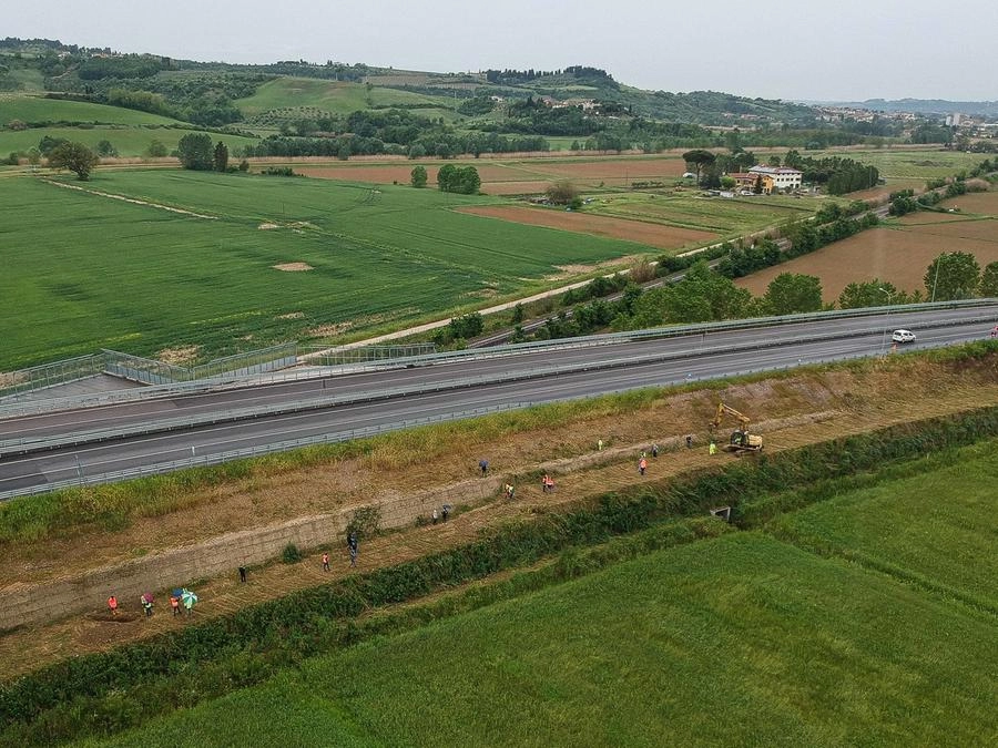 immagine di sfondo 19