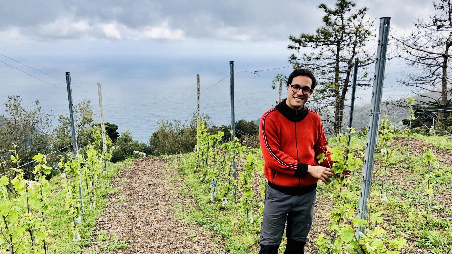 Il ritorno del Ruzzese  L’antico vitigno risorge  sulle colline di Bonassola