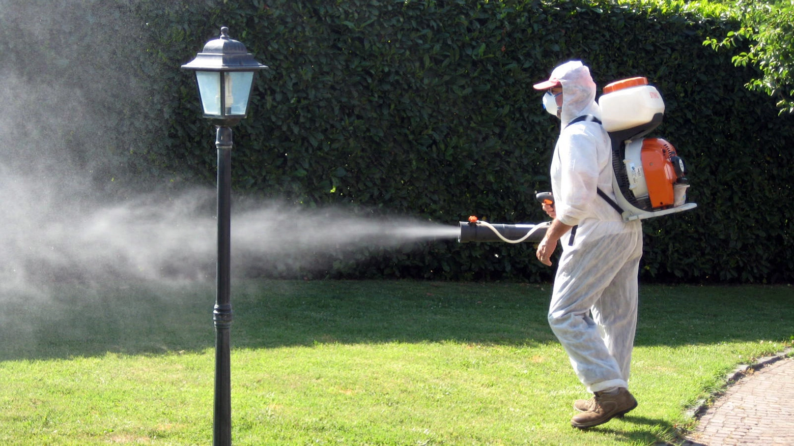 Disinfestazione Dengue (foto di repertorio)