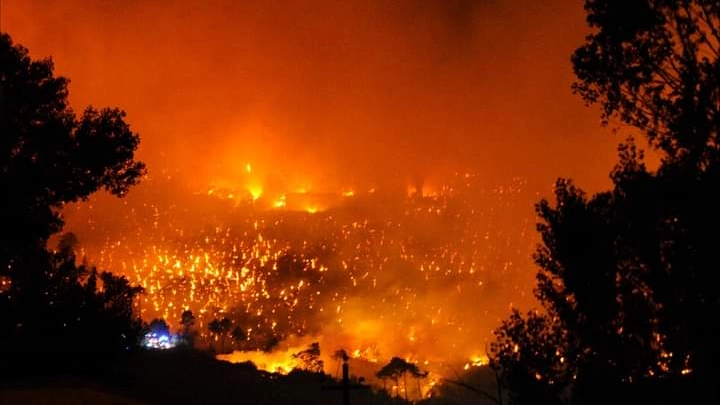 L'incendio a Vicopisano (foto di Tatiana Di Sacco)