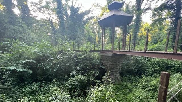 "Cascine, che degrado. Altro che capitale green" "Cascine, che degrado. Altro che capitale green"