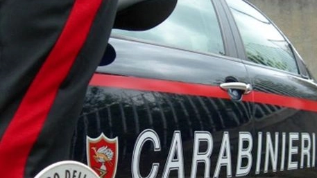 L'operazione è stata condotta dai carabinieri L'operazione è stata condotta dai carabinieri