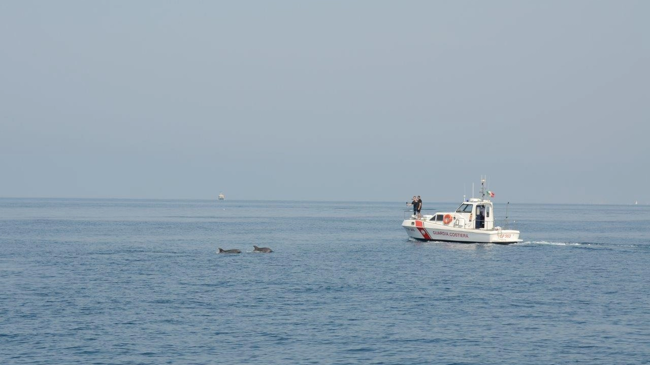 I delfini "scortano" la capitaneria di porto di Viareggio