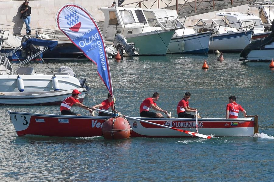 immagine di sfondo 12