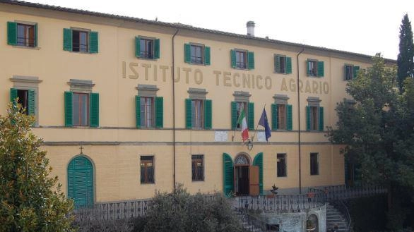 Tra agrario Anzilotti e istituto Iozzelli una collaborazione "green" Tra agrario Anzilotti e istituto Iozzelli una collaborazione "green"