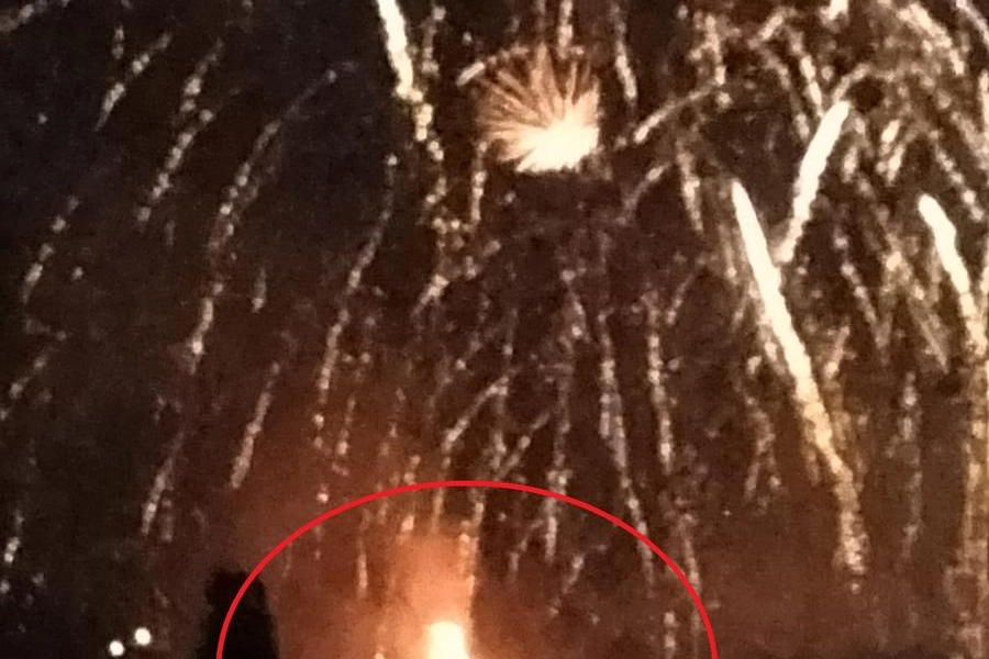 L'albero in fiamme nel circoletto rosso