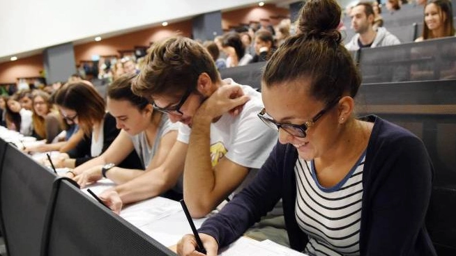Studenti universitari