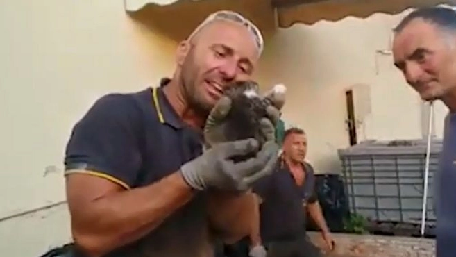 Matteo Zaccara con il gattino appena salvato Matteo Zaccara con il gattino appena salvato