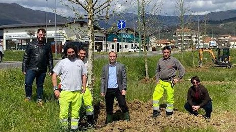 Via al piano di forestazione urbana "Pianteremo 300 alberi in centro" Via al piano di forestazione urbana "Pianteremo 300 alberi in centro"