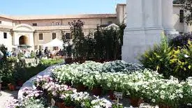 Torna il Flower Show Torna il Flower Show