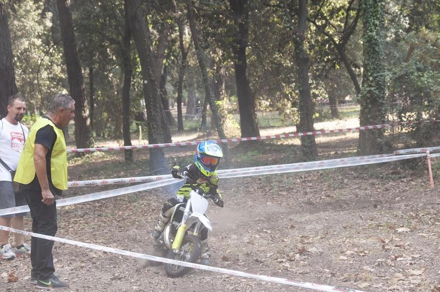 immagine di sfondo 15