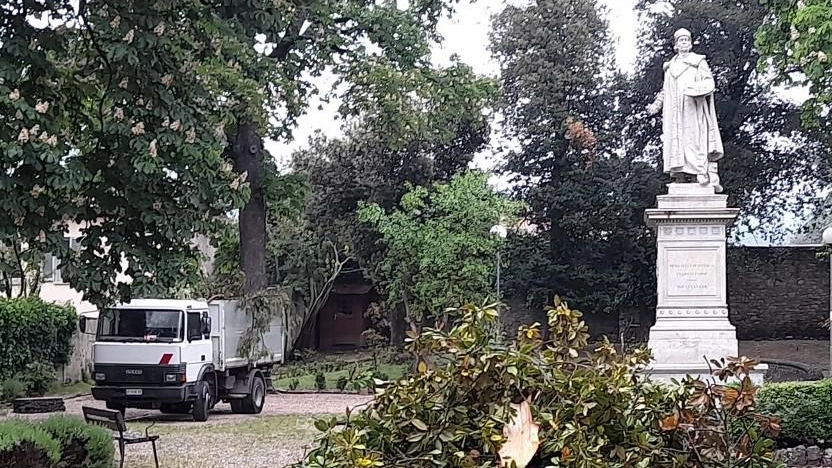 Giardino di Piero, taglio degli alberi  Comune: "Pericolosi, è necessario"  Ma in centro esplode la protesta