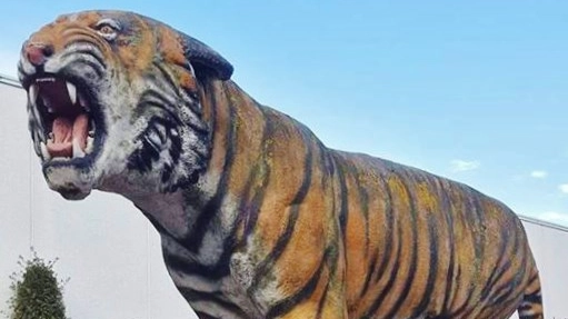 La tigre luminosa del calzaturificio Tiger Flex di via Risorgimento a Monsummano Terme