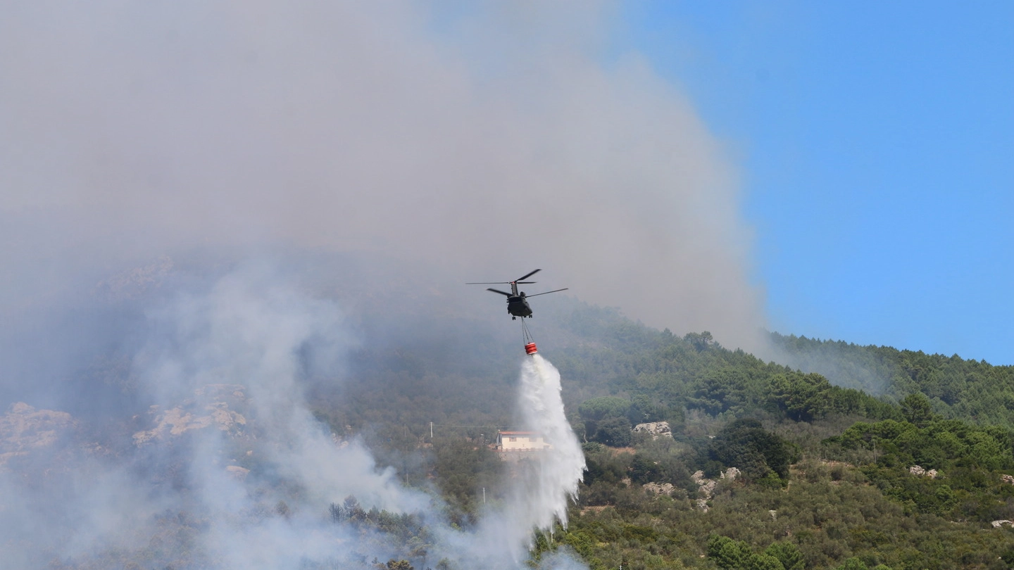 Incendio sul Monte Serra (foto Valtriani)