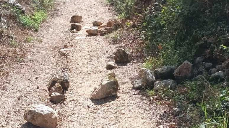 Vandalizzati i lampioni "Sappiamo chi siete Scuse e pagate i danni per evitare rischi penali" Vandalizzati i lampioni "Sappiamo chi siete Scuse e pagate i danni per evitare rischi penali"