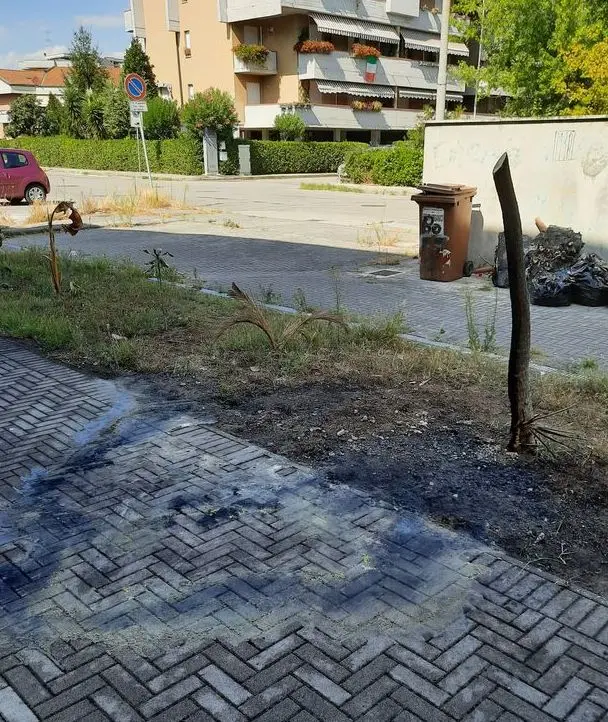 Fiamme per ripicca davanti all’associazione