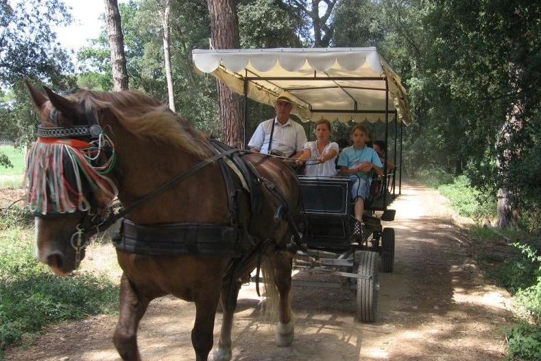 Parco San Rossore Migliarino Massaciuccoli