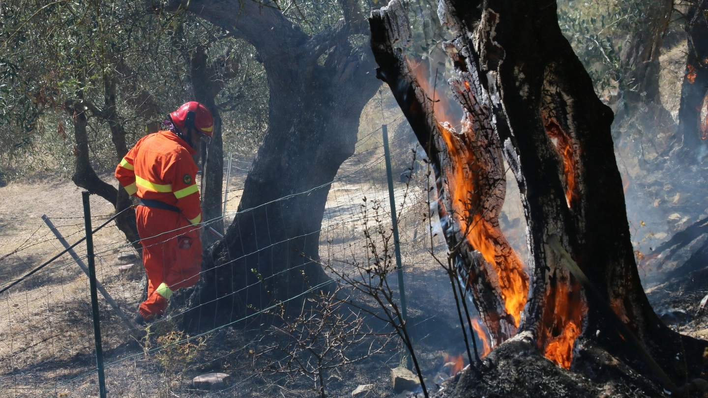 Incendio sul Serra (foto Valtriani) Incendio sul Serra (foto Valtriani)