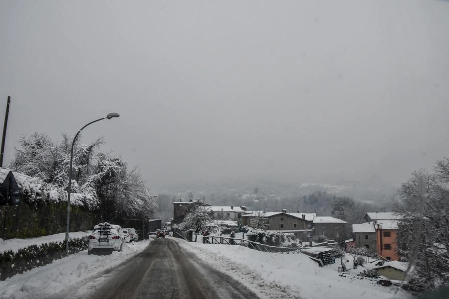 immagine di sfondo 3