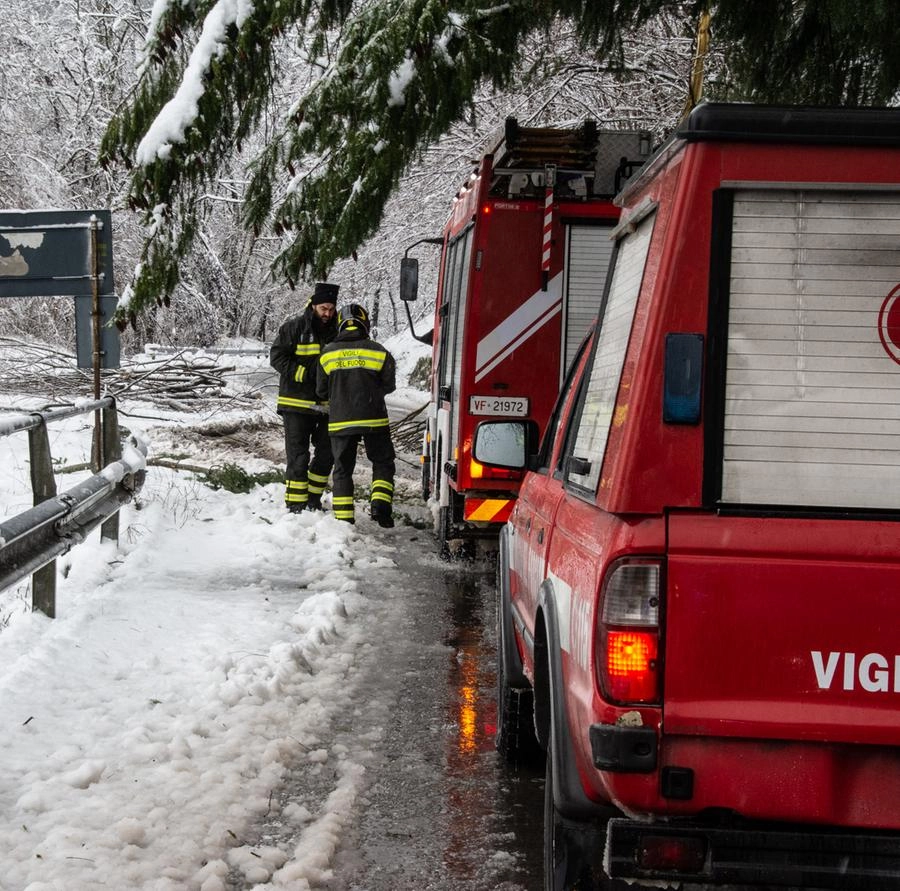 immagine di sfondo 2