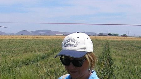 Agricoltura, ecco i corsi Tutti finanziati dalla Ue Agricoltura, ecco i corsi Tutti finanziati dalla Ue
