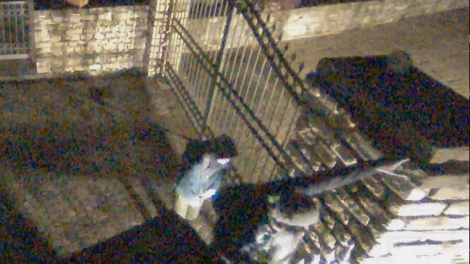 Due membri della banda mentre scavalcano il cancello di una  casa