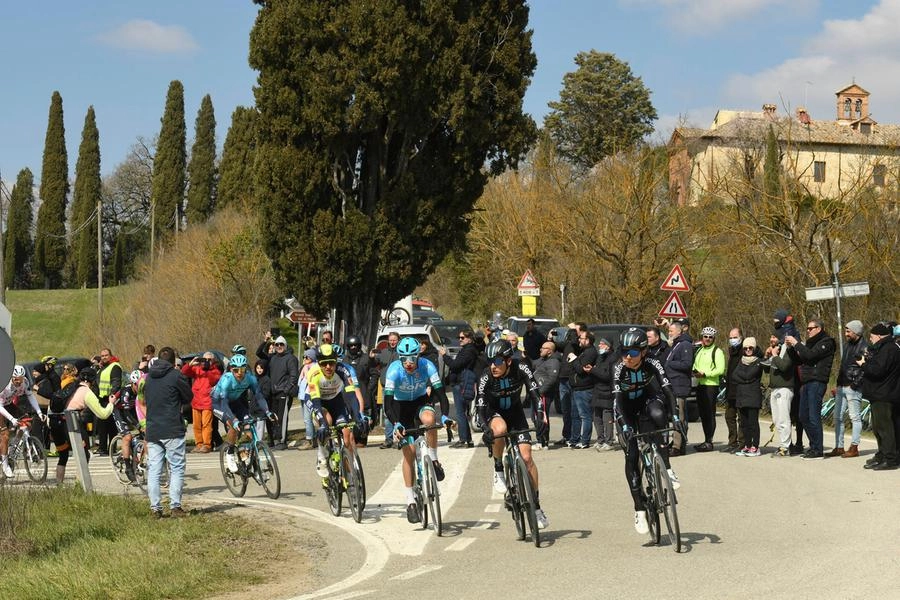 immagine di sfondo 10