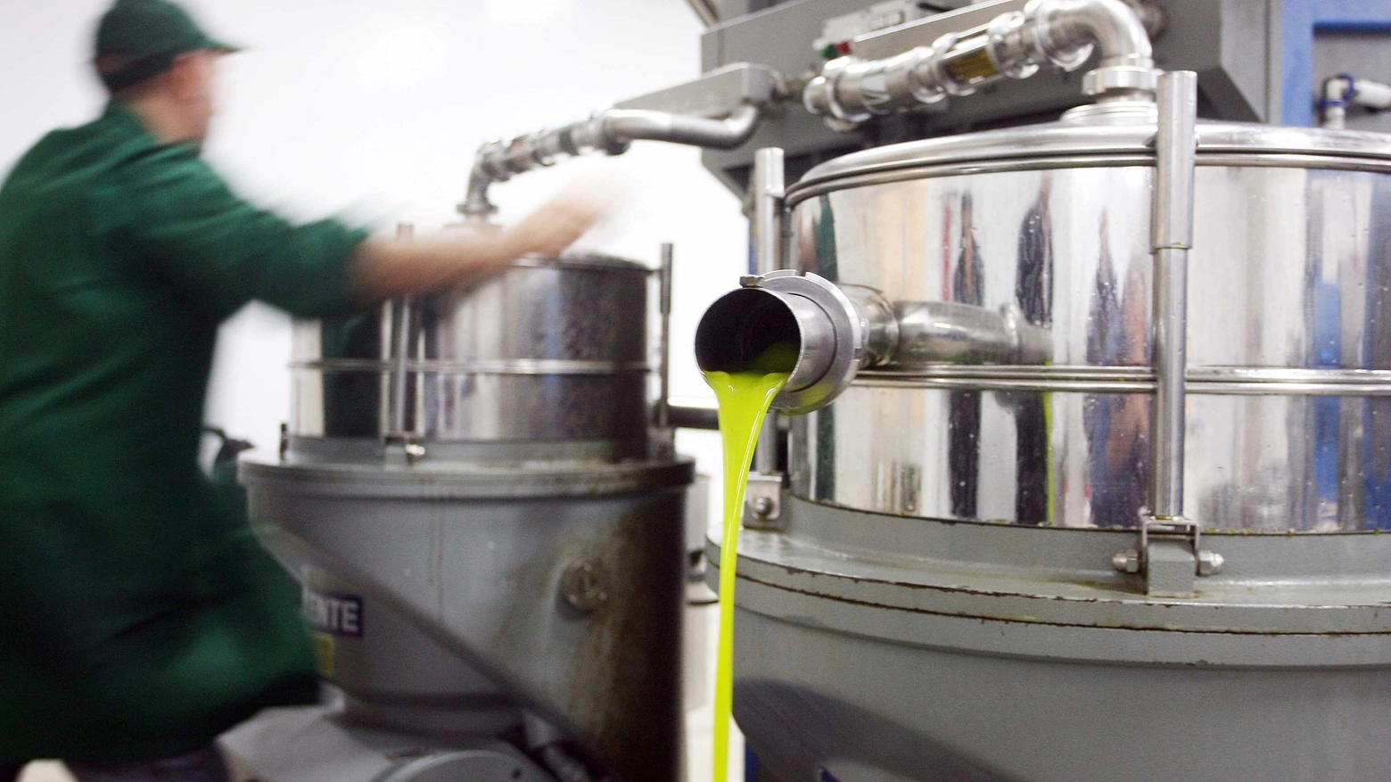 Produzione di olio di oliva