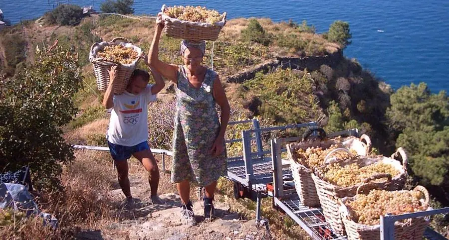 Strada dei vini, si fa sul serio La presentazione dello studio