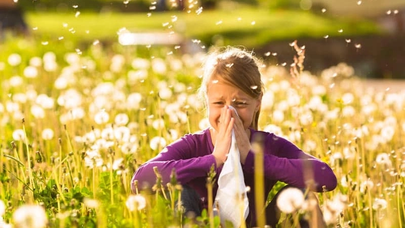 Sempre più persone soffrono di allergie 