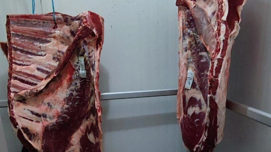 Minimarket fuori legge. Conservavano la carne in locali non adeguati Minimarket fuori legge. Conservavano la carne in locali non adeguati