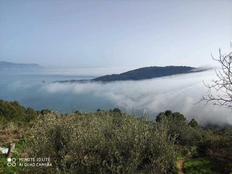 immagine di sfondo 5