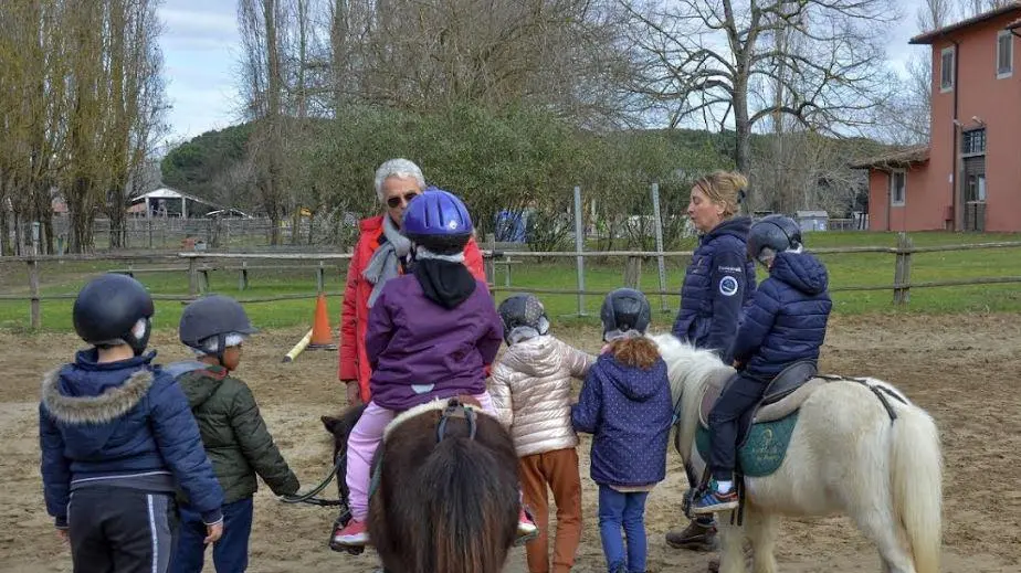 Ecco l’Equiscuola I bimbi a lezione dagli amici pony Ecco l’Equiscuola I bimbi a lezione dagli amici pony