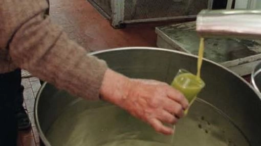 L'Associazione Assaggiatori e Cultori Olio Extra Vergine di Oliva e Confagricoltura Lucca invitano al Desco per una degustazione di abbinamenti con olio EVO, gelato, fagioli, pane, pesce e farro. Obiettivo: valorizzare le produzioni locali e informare ed educare il consumatore.