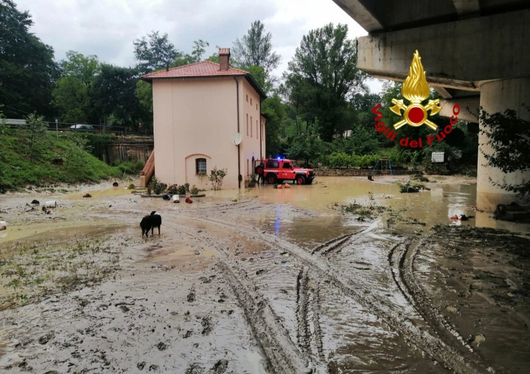immagine di sfondo 4